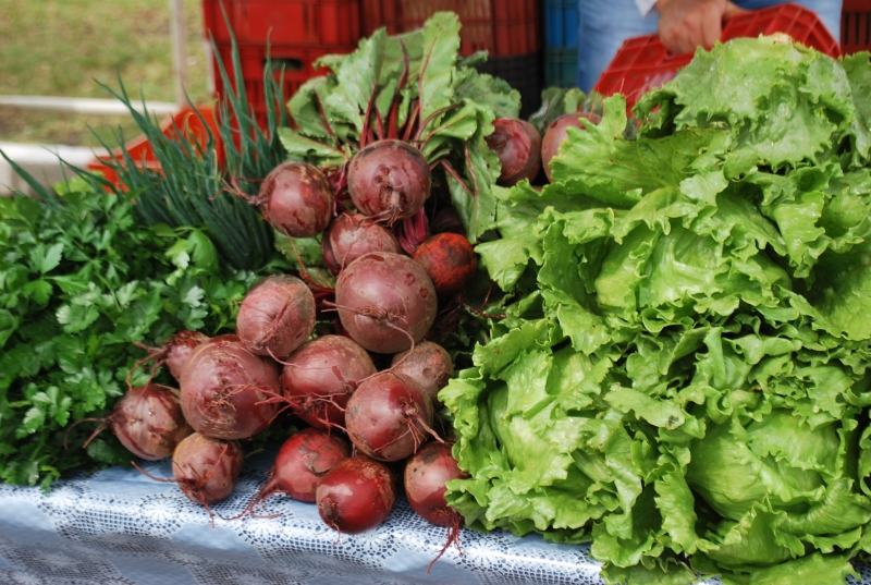 Você pode encontrar alimentos in natura nas feiras ecológicas e do produtor.